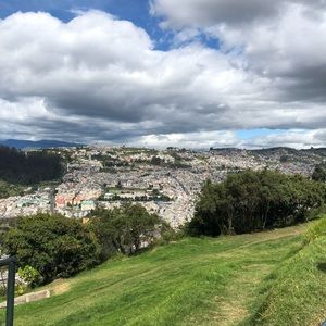 Meet your Posher, Tyne